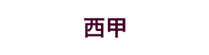 意甲直播与预测中心 Logo